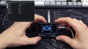 Обзор плеера SnowSky / FiiO ECHO MINI. Цифровой плеер мимикрирую?