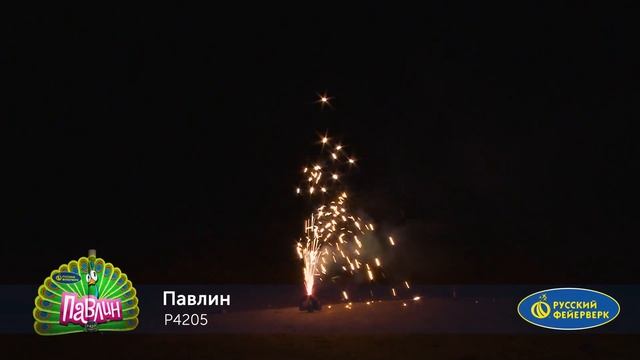 P4205 Павлин смотреть онлайн