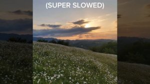 Я люблю тебя давно это, грустно и смешно (SUPER SLOWED)