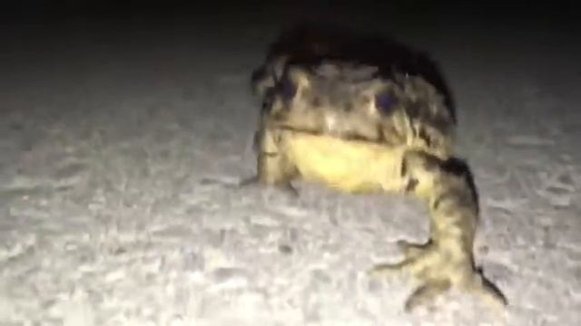 Искусственный разум смотреть онлайн