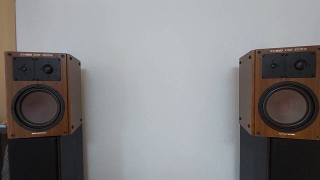 Grundig Box 8000 Lautsprecher Акустика с полки.