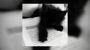 enveel,metaego-sad girl syndrome/ты мирно прячешь раны в рукавах (speed u