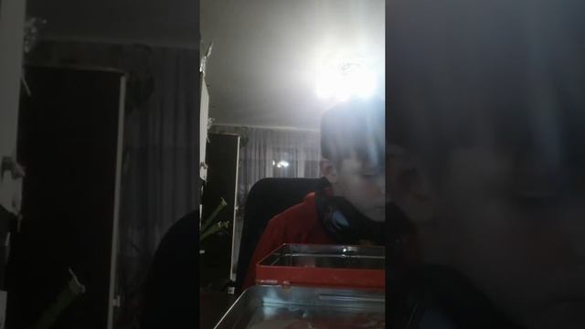 Пришёл целый сундук скрепышей