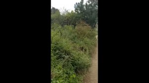 Армения, Карабах, Азербайджан. Что чувствует человек?