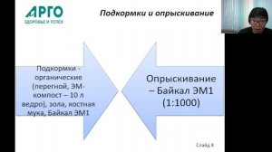 Осенний уход за плодовыми и ягодными культурами.
