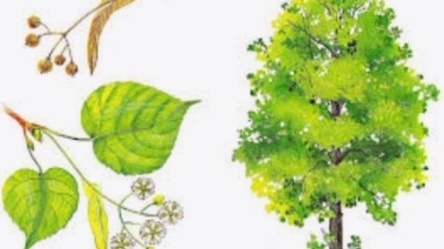 Дидактична гра 