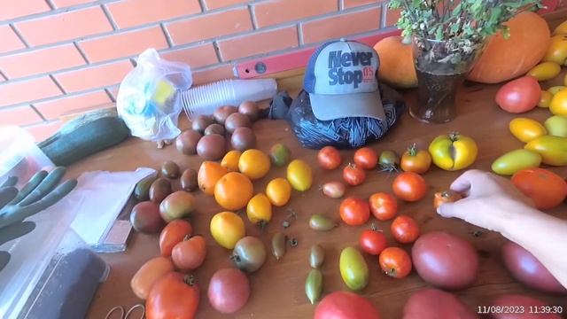 Лето,жара🥵,ягода все спеет🍓,сок из желтой помидоры ? смотреть онлайн