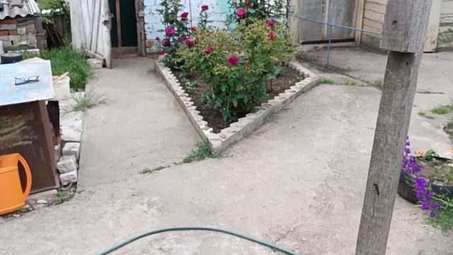 Динская 27.05.25. Возвращение в Эдем. смотреть онлайн