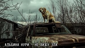 Вот ПРЕВОСХОДНАЯ СТРАШНАЯ ИСТОРИЯ Про Ведьму! Страшны