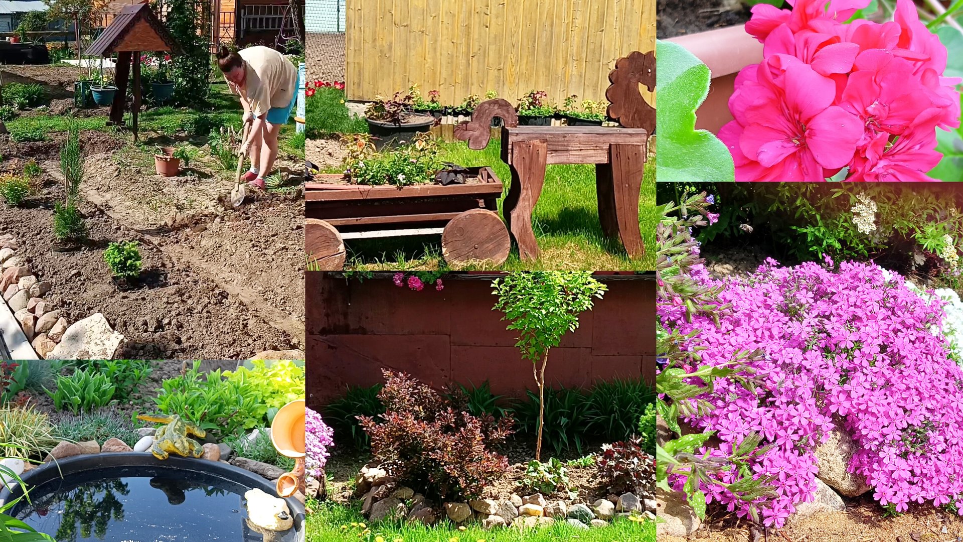 Высадила георгины. Краски весеннего сада.Колеусы в этом сезоне совсем не радуют. смотреть онлайн