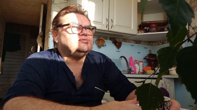 27 июня 2024. Утренние размышления и холодный кофе. смотреть онлайн