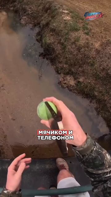 Он ИГРАЕТ на твоих НЕРВАХ! смотреть онлайн