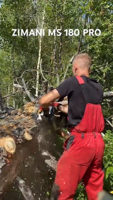 #zimani #stihl #бензопилы #husqvarna смотреть онлайн