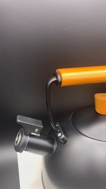 Чайник RINGEL IQ Вe Natural 2.5 л (IQ-1001) смотреть онлайн