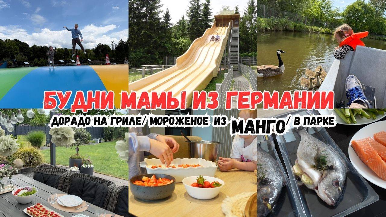 VLOG🇩🇪: ПЕРВЫЙ РАЗ ТАК ГОТОВЛЮ 🐟 КТО ЛЮБИТ МАНГО, попробуйте 👍🏻ПОЕХАЛИ В ЗООПАРК 🐒🦘 смотреть онлайн