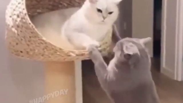 Ба смотреть онлайн