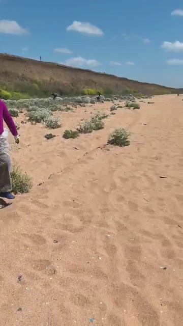 Субботник. смотреть онлайн