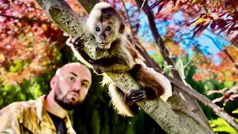 Я СТАЛ ЗАНИМАТЬСЯ с Фиником и учу его лазить по деревьям, он должен цепляться за жизнь! смотреть онлайн