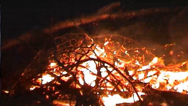 Amper Alex Nico - Tarot