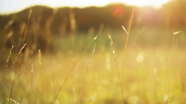 Техника 100 000 км. Базовая техника.