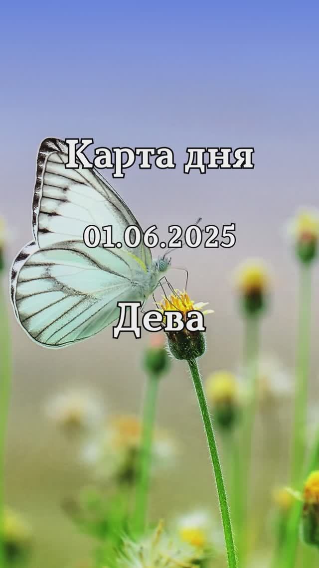 ✨Карта дня 01.06.2025✨ Дева смотреть онлайн
