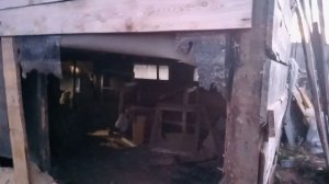 корова не отдавала молоко