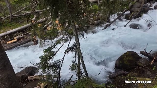 Решив высмеять жену на глазах гостей, муж привез ей на смотреть онлайн