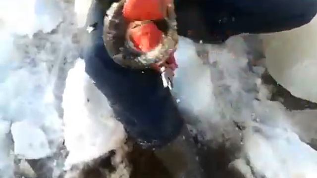 На пассатижи