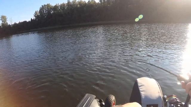 Выход щуки.#рыбалка #лодка #рыбак174 #щука #gladiator #fishing