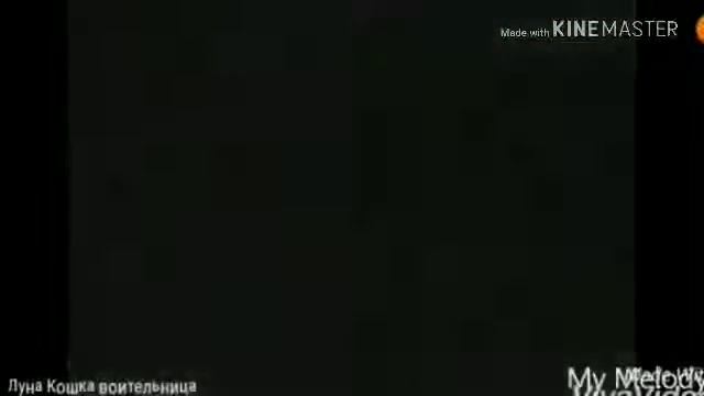 ¥коты воители¥°Бич°-Волк в овечьей шкуре- смотреть онлайн