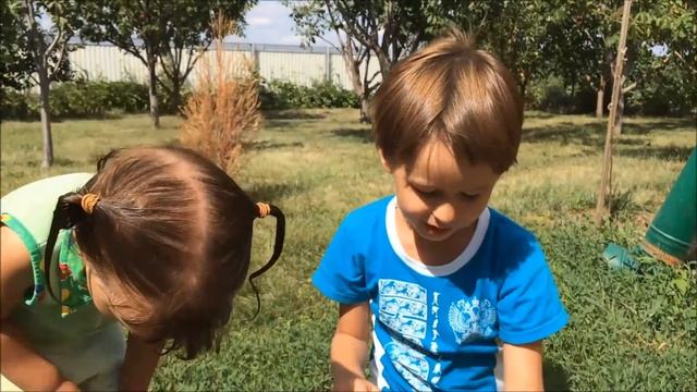 Как засушить рыбу. Готовят дети.