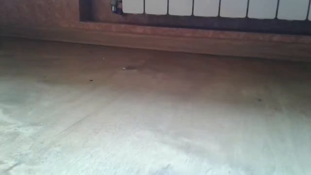 Обзор на Nintendo swich+geiming fortnait смотреть онлайн