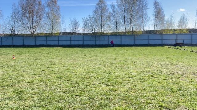 4.  выражено/перв ИРЕНДОРФ ВАЛЬКИРИЯ (Ian v. Kleinen Zauberberg – Зависть Богов Рейма)