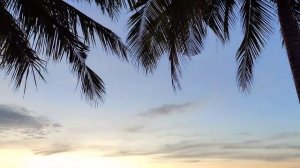 Вьетнам. Фукуок. Vinpearl Resort & Spa Phu Quoc. Головокружительный