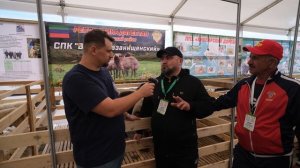 Выставка овец в Дагестане 2025