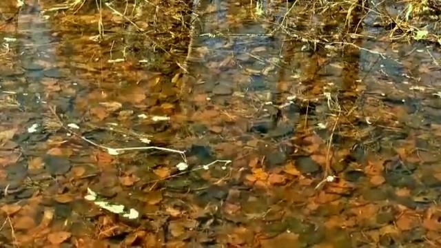 " О чём молчит моя любовь?" смотреть онлайн