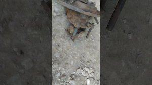 колесный редуктор луаз. как понять левый, правый, задний, перед. редуктор на продажу