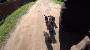 Стройка без прикрас . день 2