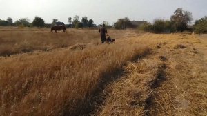 МТЗ мотоблок. коса на мотоблок мтз