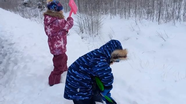 Едем в лес за ёлкой