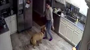 Муж устанавливает скрытую камеру в спальне и видит, чт