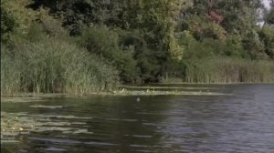 Рыбалка на вертушку: 5 секретов, о которых молчат профи! 🎣 Хищник атакует сразу