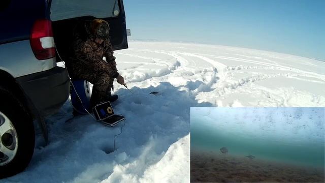 Окунь на балансир. С утра. смотреть онлайн