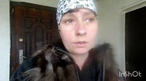 Влог/Как кормить козлят коровьим молоком/жизнь в дере?