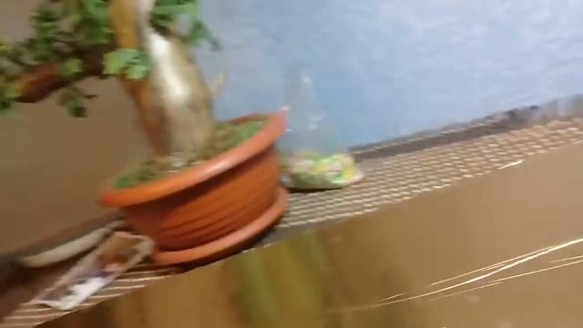 ФИГУРКИ ИЗ ПЛАСТИЛИНА (:5 НОЧЕЙ С ФРЭДИ:)