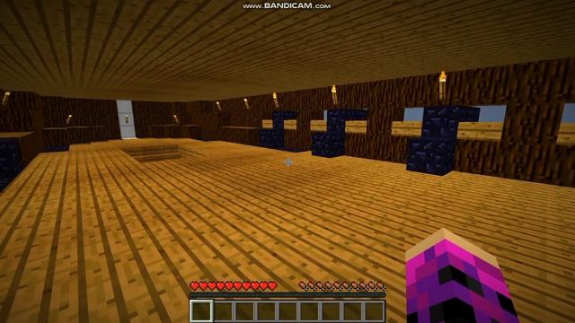 МЫ С ЖИТЕЛЯМИ ПОПАЛИ НА ПИРАТСКИЙ КОРАБЛЬ В МАЙНКРАФТ