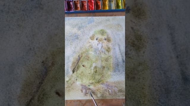 Зарисовка к книге про попугая Какапо🦜 #shortvideo #youtubeshorts #aquarelle #parrot #shorts смотреть онлайн