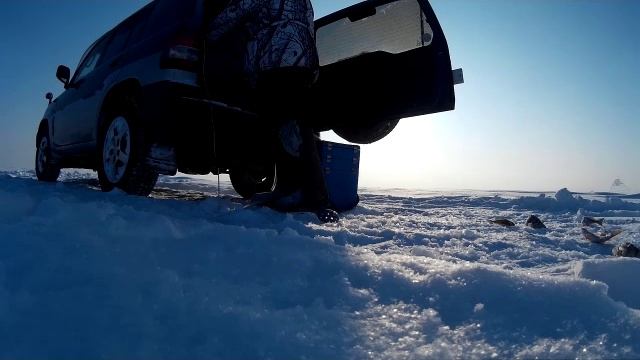 Наловил на сковородку 03.02.2016г смотреть онлайн