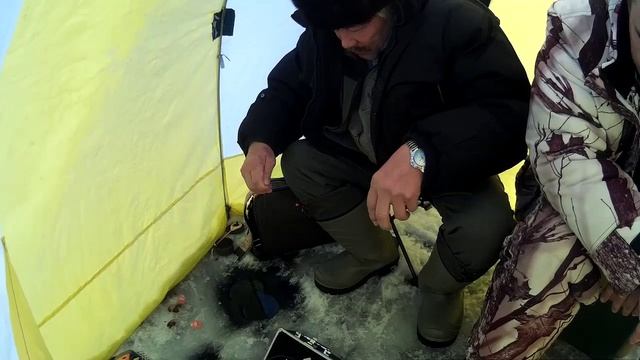 Мои реализованные поклёвки.