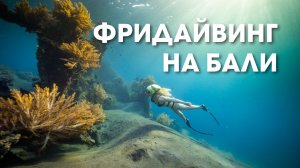 БАЛИ. Фридайвинг-путешествие мечты
